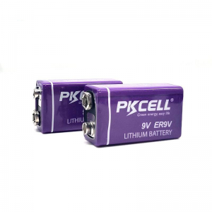 PKCELL ER9V 9V 10.8V 1200mAh LI-SOCL2 बैटरी