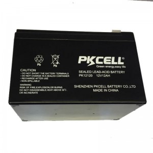 Sealed Lead Acid Battery PK12120-F2