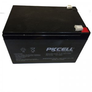 Sealed Lead Acid Battery PK12120-F2