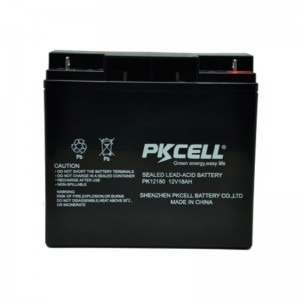 Sealed Lead Acid Battery PK12180