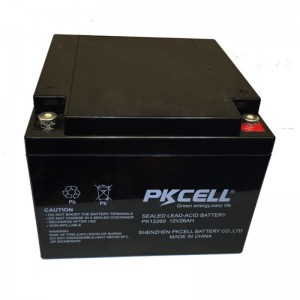 Sealed Lead Acid Battery PK12260