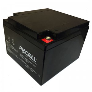 Sealed Lead Acid Battery PK12260