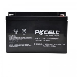 Versiegelte Bleibatterie PK12260