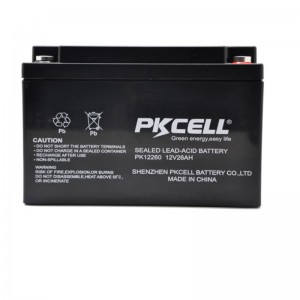 Sealed Lead Acid Battery PK12260