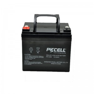 Sealed Lead Acid Battery PK12350