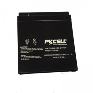 Sealed Lead Acid Battery PK1250(F1/F2)