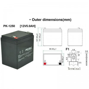 Sealed Lead Acid Battery PK1250(F1/F2)