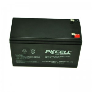 Sealed Lead Acid Battery PK1270(F1/F2)