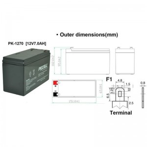 Sealed Lead Acid Battery PK1270(F1/F2)