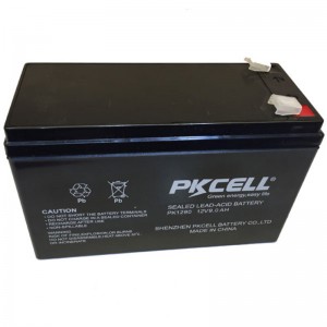 باتری سرب اسیدی مهر و موم شده PK1290 (F1/F2)