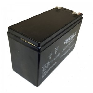 Sealed Lead Acid Battery PK1290(F1/F2)