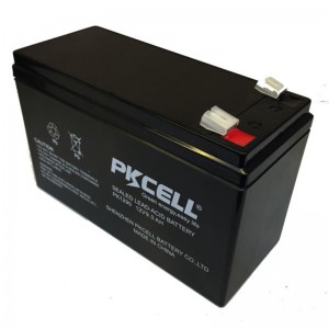 Sealed Lead Acid Battery PK1290(F1/F2)