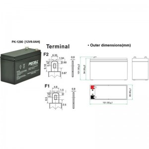 Sealed Lead Acid Battery PK1290(F1/F2)