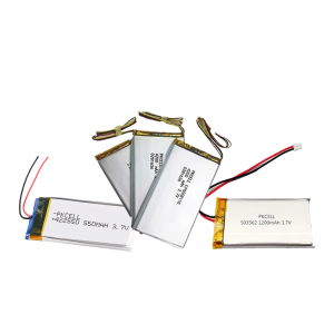 LI-POLYMER BATTERY