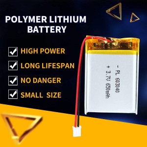 LP603040 650mah 3.7v Rechargeable Lithium Polymer Battery Wholesale Price Long Lifespan Lithium Polymer Battery