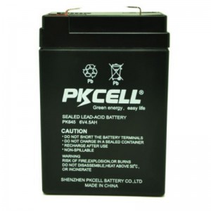 باتری های سرب اسیدی مهر و موم شده PK645