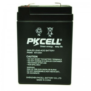 Batterie al piombo sigillate PK645