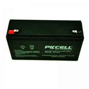 Batterie plomb-acide scellée PK6120