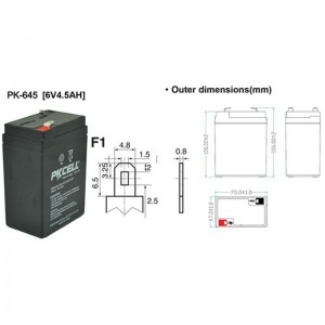 Batterie al piombo sigillate PK645