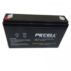 Sealed Lead Acid Battery PK670
