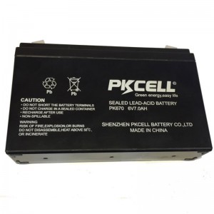 Versiegelte Bleibatterie PK670