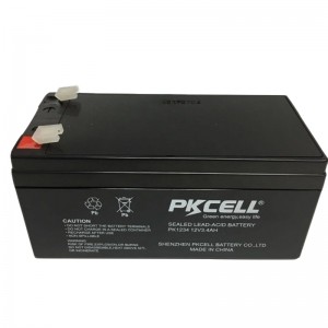 Sealed Lead Acid Battery PK1234