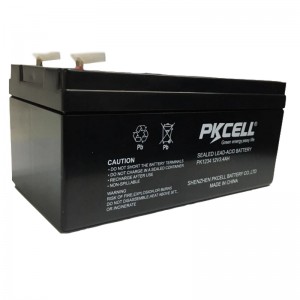 Sealed Lead Acid Battery PK1234