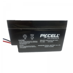 Sealed Lead Acid Battery PK1208